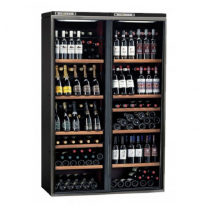 Отдельностоящий винный шкаф Ip Industrie CK 2501 SD CF